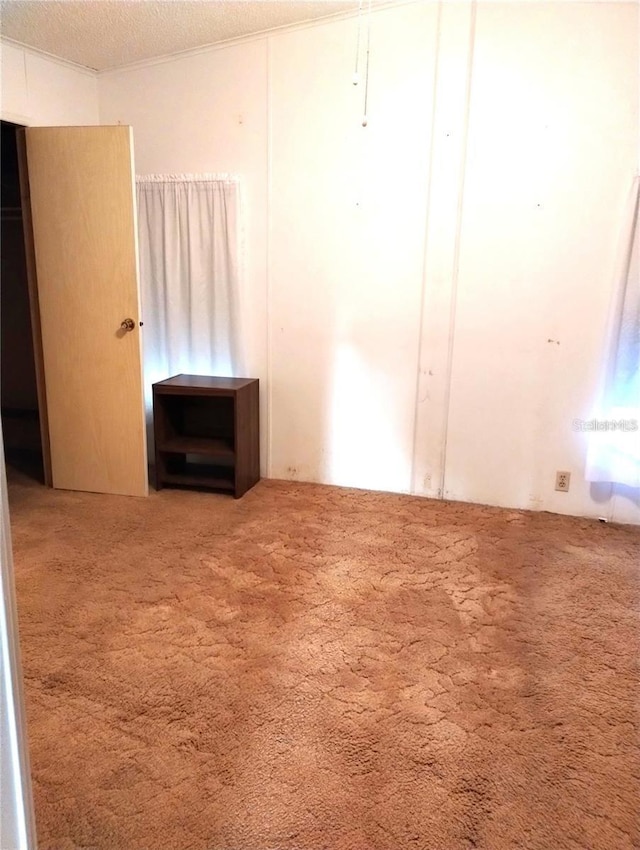 6443 Midland St, Zephyrhills, FL 33542 - spare room featuring carpet and a textured ceiling
