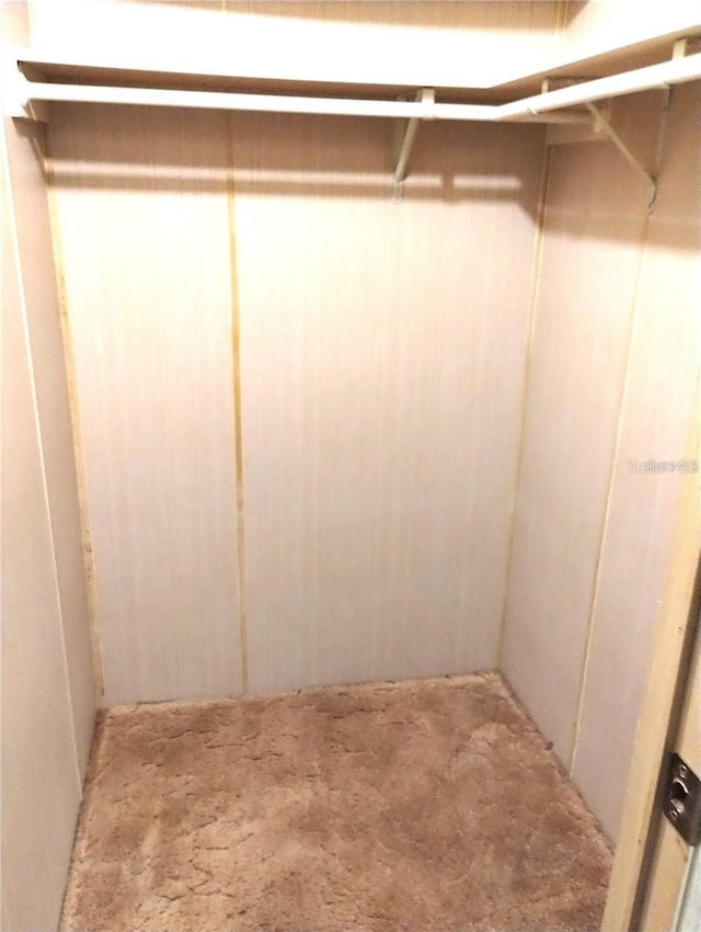 6443 Midland St, Zephyrhills, FL 33542 - spacious closet featuring carpet flooring