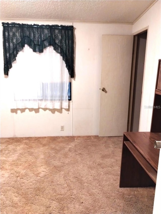 6443 Midland St, Zephyrhills, FL 33542 - carpeted empty room with a textured ceiling