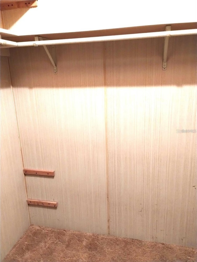 6443 Midland St, Zephyrhills, FL 33542 - walk in closet with carpet