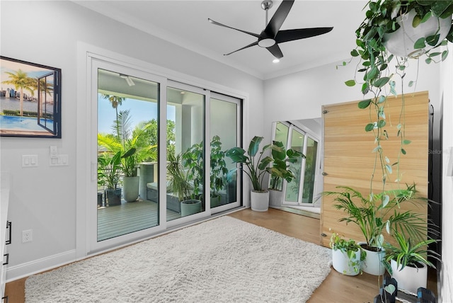 4515 W N A St Unit 6, Tampa, FL 33609 - entryway with a ceiling fan, wood finished floors, and recessed lighting