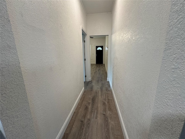 8018 Mulberry St, Tampa, FL 33604 - photo 25
