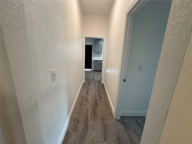 8018 Mulberry St, Tampa, FL 33604 - photo 26