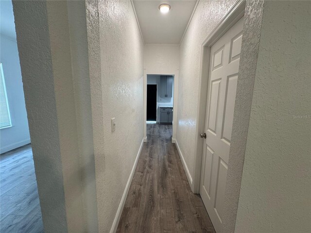 8018 Mulberry St, Tampa, FL 33604 - photo 27