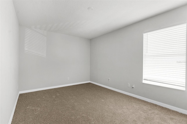 5015 58th Ter E, Bradenton, FL 34203 - unfurnished room featuring carpet flooring and plenty of natural light