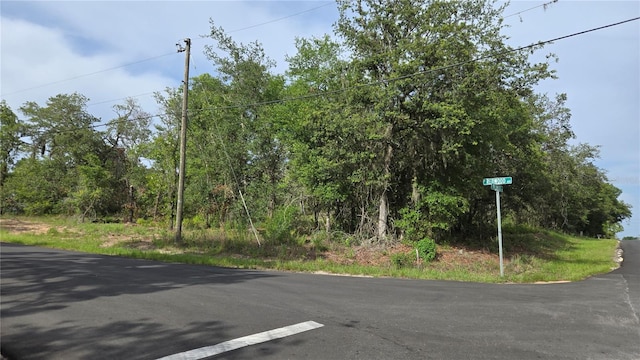 4771 N Redwood Ave, Hernando, FL 34442
