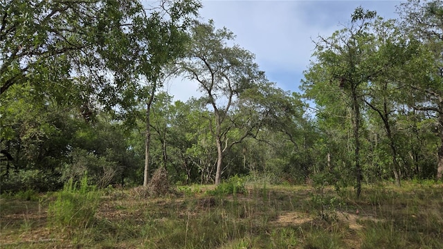 4771 N Redwood Ave, Hernando, FL 34442