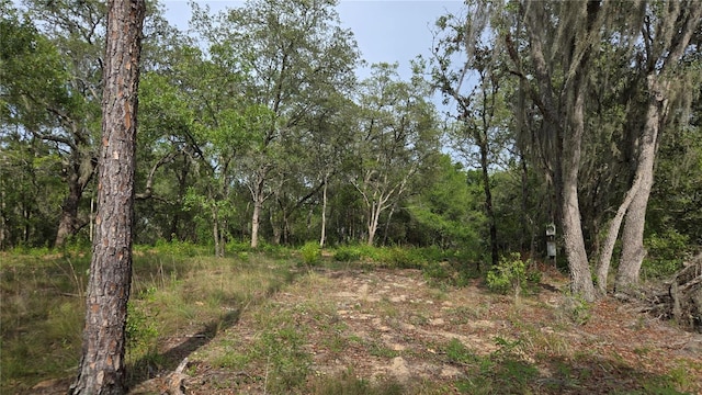 4771 N Redwood Ave, Hernando, FL 34442