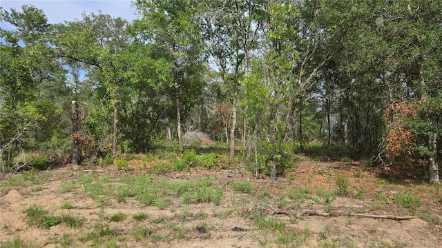 4771 N Redwood Ave, Hernando, FL 34442