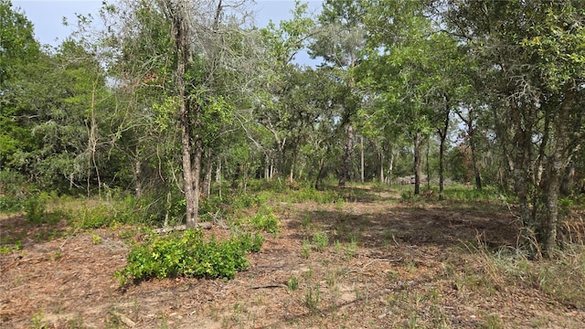 4771 N Redwood Ave, Hernando, FL 34442