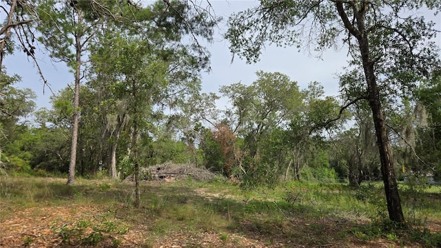 4771 N Redwood Ave, Hernando, FL 34442
