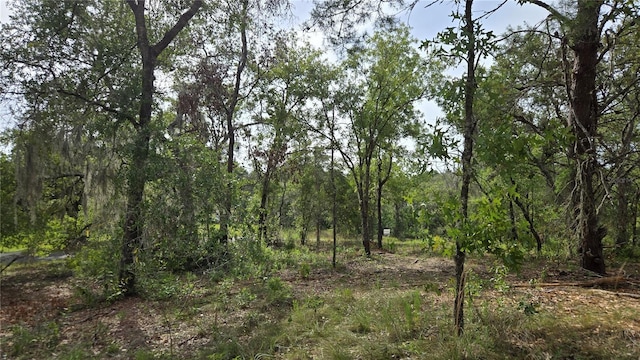 4771 N Redwood Ave, Hernando, FL 34442