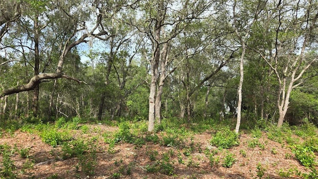 4771 N Redwood Ave, Hernando, FL 34442
