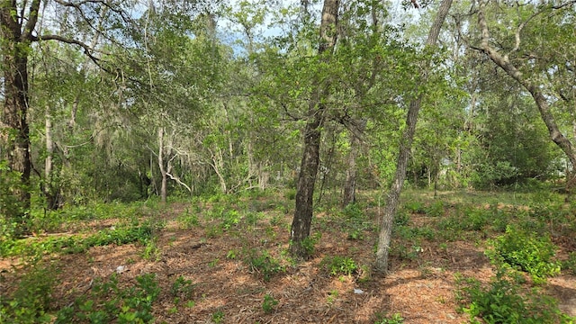 4771 N Redwood Ave, Hernando, FL 34442