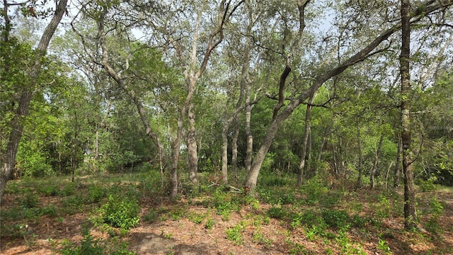 4771 N Redwood Ave, Hernando, FL 34442