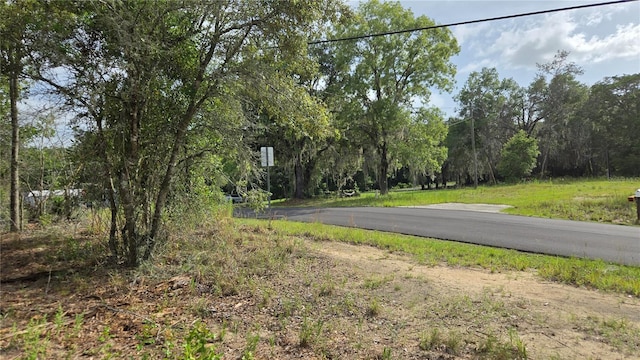 4771 N Redwood Ave, Hernando, FL 34442
