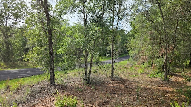 4771 N Redwood Ave, Hernando, FL 34442