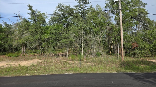 4771 N Redwood Ave, Hernando, FL 34442