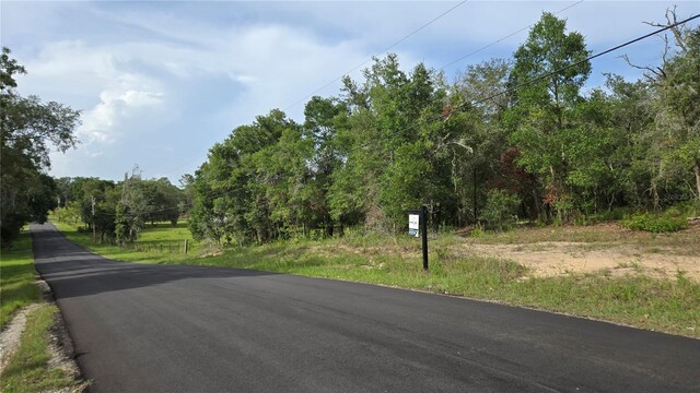 4771 N Redwood Ave, Hernando, FL 34442