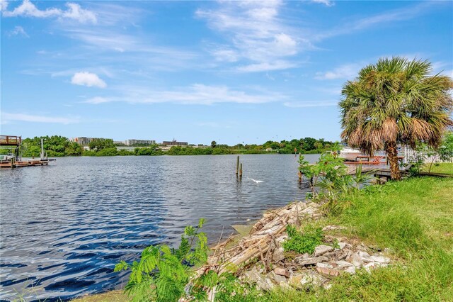 2205 N Riverside Dr, Tampa, FL 33602 - photo 15