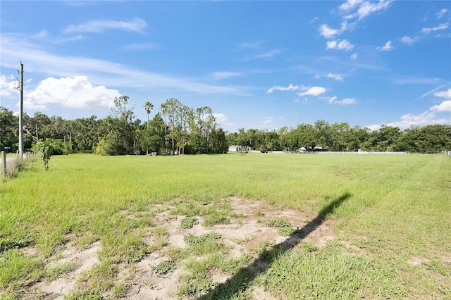 3830 Sterling Oaks Pl, Plant City, FL 33565