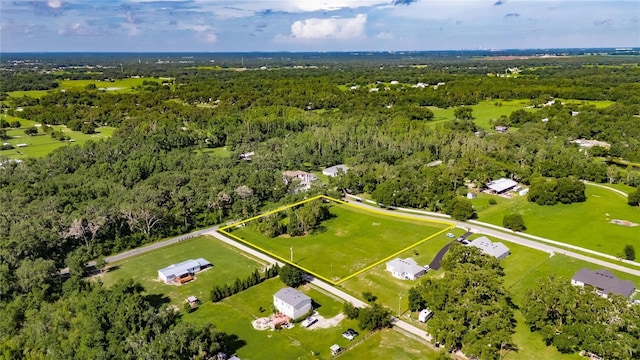 3830 Sterling Oaks Pl, Plant City, FL 33565