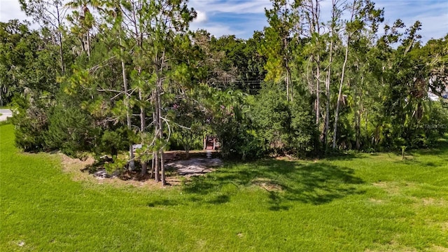 3830 Sterling Oaks Pl, Plant City, FL 33565