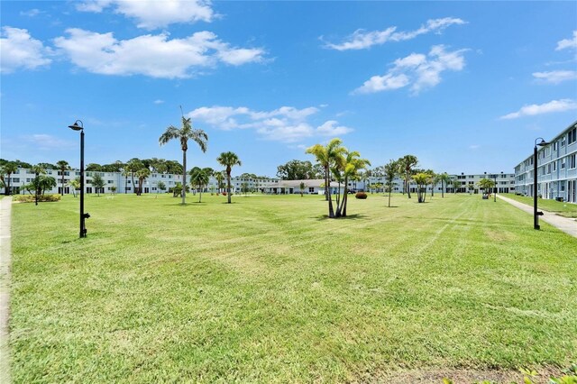 4895 Bay St NE Unit 207, Saint Petersburg, FL 33703 - photo 51