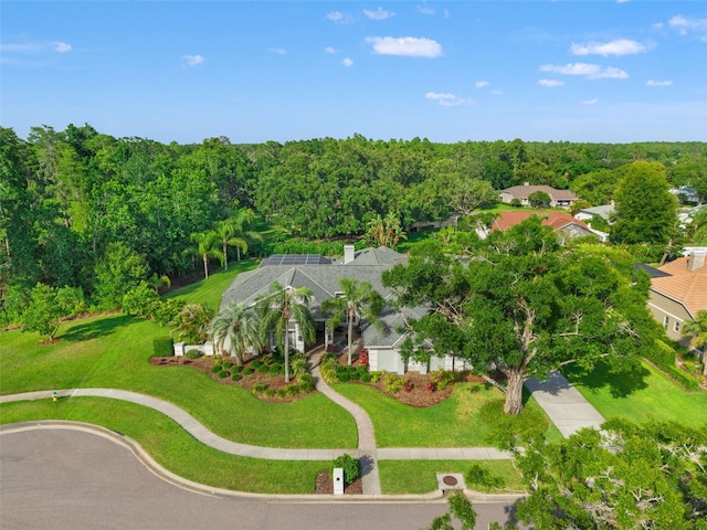 17311 Carriage Way, Odessa, FL 33556 - drone / aerial view
