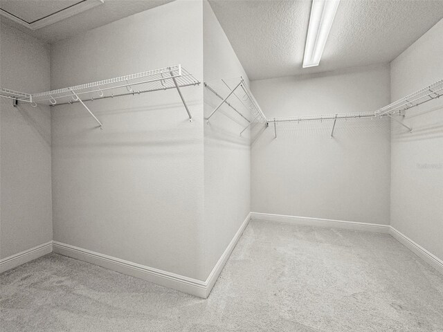 13299 Wildgrass Trl, Odessa, FL 33556 - photo 22