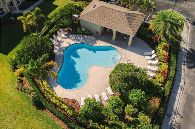 6677 84th Ave N, Pinellas Park, FL 33781 - swimming pool featuring a patio
