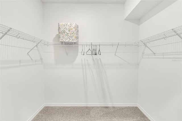 43250 Water Bird Way Unit 5921, Punta Gorda, FL 33982 - walk in closet featuring carpet