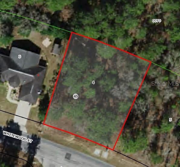 82 Whitewood St, Homosassa, FL 34446
