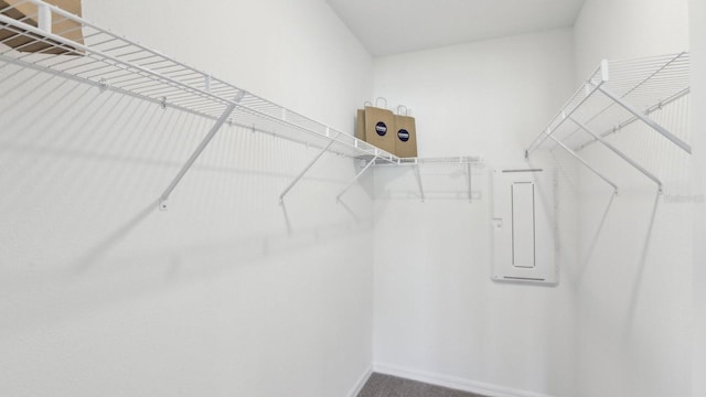 4319 Sand Dollar Way, Zephyrhills, FL 33541 - view of spacious closet