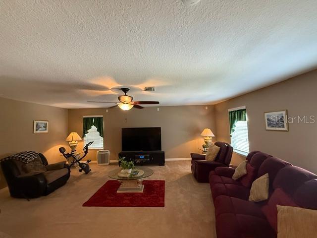 12231 Fairlawn Dr, Riverview, FL 33579 - photo 11