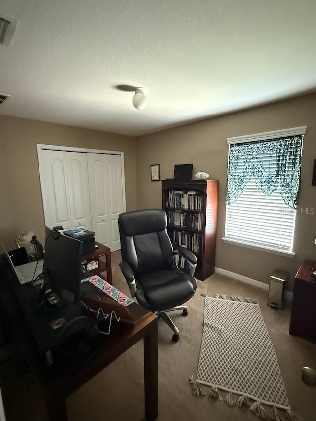 12231 Fairlawn Dr, Riverview, FL 33579 - photo 13