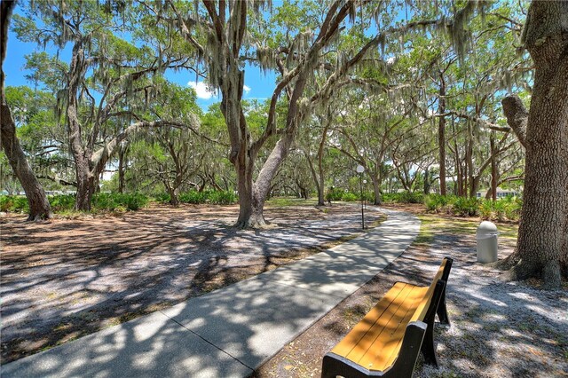 4711 Club Cir, Lakeshore, FL 33854 - photo 64