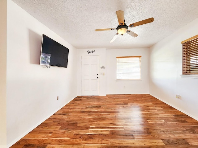 3304 Alamar St, Lutz, FL 33558 - photo 10