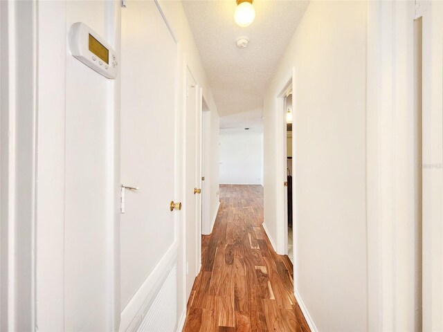 3304 Alamar St, Lutz, FL 33558 - photo 21