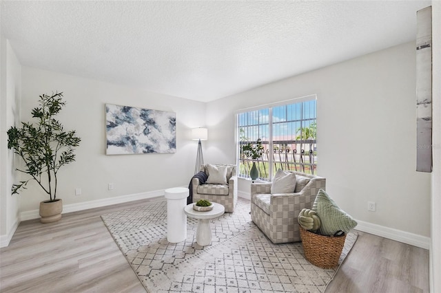6521 Bimini Ct, Apollo Beach, FL 33572 - living area featuring wood finished floors and a textured ceiling
