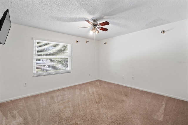 8501 141st St, Seminole, FL 33776 - photo 17
