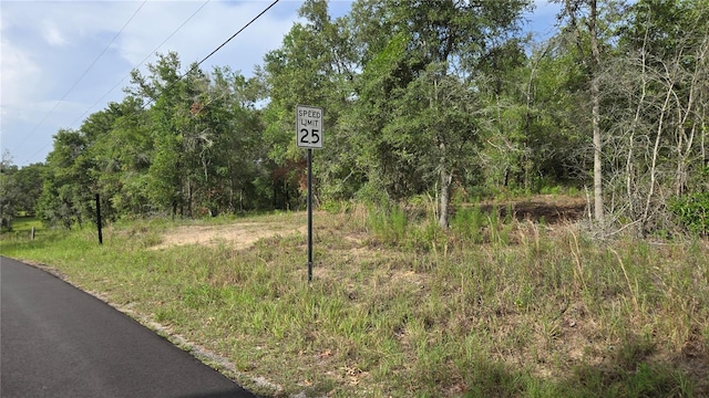 4811 N Redwood Ave, Hernando, FL 34442