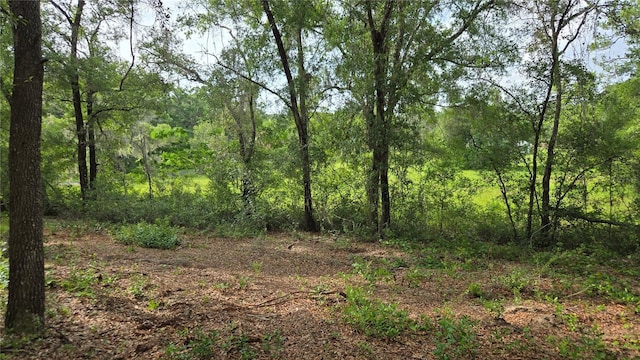 4811 N Redwood Ave, Hernando, FL 34442