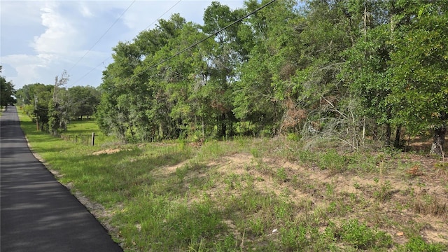 4811 N Redwood Ave, Hernando, FL 34442