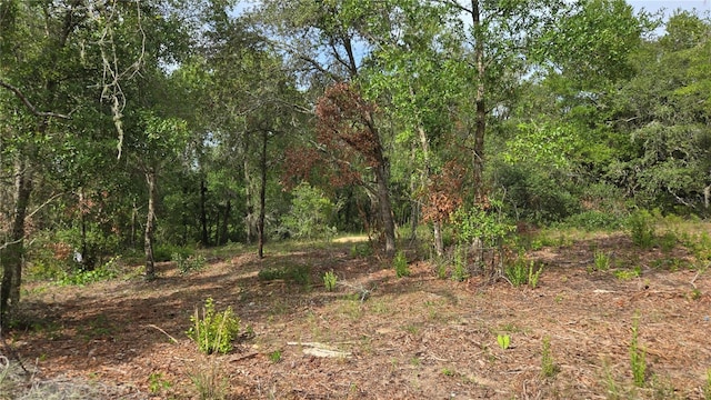4811 N Redwood Ave, Hernando, FL 34442