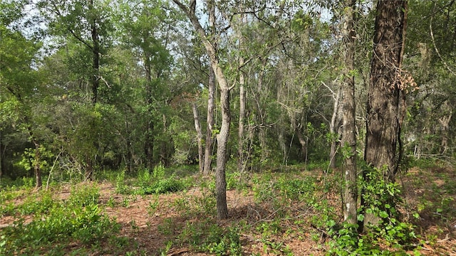 4811 N Redwood Ave, Hernando, FL 34442
