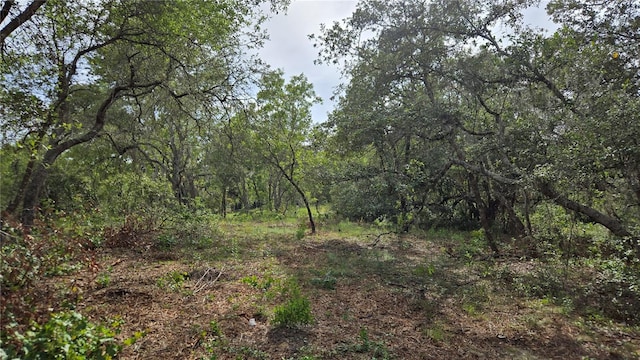 4811 N Redwood Ave, Hernando, FL 34442