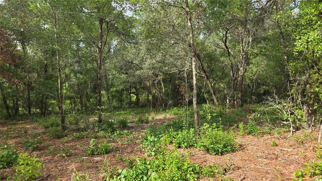 4811 N Redwood Ave, Hernando, FL 34442