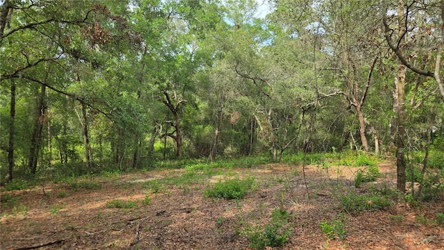 4811 N Redwood Ave, Hernando, FL 34442