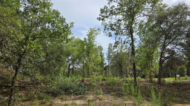 4811 N Redwood Ave, Hernando, FL 34442
